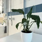 I Stylish Private In The Heart Of Berlin-kreuzberg!